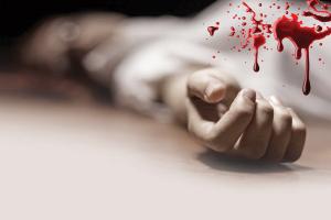 बाराबंकी: बदमाशों की मारपीट से वृद्ध महिला की मौत, तीन घायल