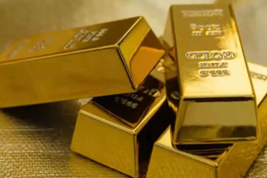 लखनऊ: रियाद से छिपाकर लाया गया 4.5 करोड़ का सोना, हुआ खुलासा…