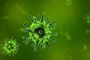 निपाह वायरस केरल में तेजी से पसारने लगा पांव, दो और स्वास्थ्य कर्मियों में मिले लक्षण