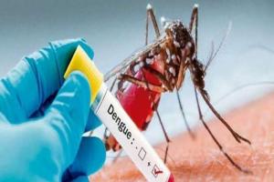 मुंबई में जनवरी से अब तक डेंगू के 305 मामले आए सामने