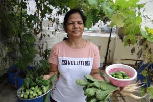 बरेली: किचन गार्डन में सब्जियों का उत्पादन कर थाली में पोषण परोस रहीं गृहणियां