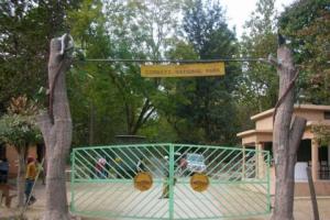 रामनगर: कार्बेट का बिजरानी जोन पर्यटकों के लिए खुला, बाघ के हुए दीदार