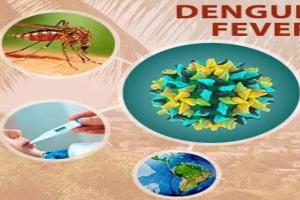 राजधानी में नहीं थम रहा डेंगू का कहर, मिले 22 नए मरीज