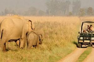 बिजनौर : कॉर्बेट नेशनल पार्क में आज से जा सकेंगे पयर्टक