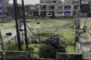अयोध्या: शहर की पॉश कॉलोनी बनी दुश्वारियां का जंगल, बदतर जिंदगी जीने को मजबूर लोग