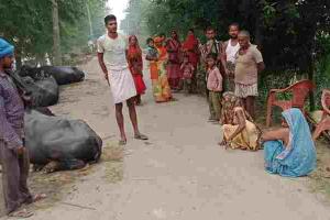 अयोध्या: सरयू का जलस्तर थमा…लेकिन बाढ़ पीड़ितों की बढ़ी दुश्वारियां