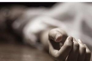 बरेली: बिथरी चैनपुर में सोलर करंट लगने से दो युवकों की मौत