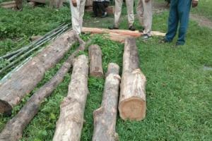 मध्य प्रदेश: एम्बुलेंस में कर रहे थे सागौन की लकड़ी की तस्करी, पहले ग्रामीणों ने पकड़ा, बाद में वन विभाग के हवाले कर दिया।