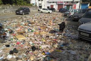 हल्द्वानी: सफाई करना भूला नगर निगम, सामाजिक संगठन ने ली सुध