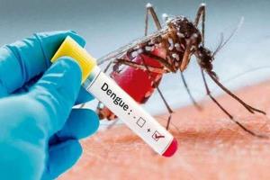 लखीमपुर खीरी में डेंगू का कहर: छह और मरीज भर्ती, 51 के पार हुई बीमारों की संख्या