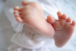 बरेली: जिले में शुरु हुआ नवजात शिशु देखभाल सप्ताह