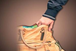 रामपुर: जनता एक्सप्रेस में महिला के पर्स से नकदी समेत एक लाख की चोरी