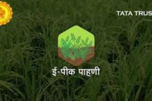 महाराष्ट्र सरकार के मोबाइल ऐप पर 58 लाख से अधिक किसानों ने कराया पंजीकरण, अब अपनी फसल का दे सकेंगे ब्योरा