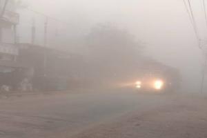 रायबरेली: मौसम ने बदली करवट, धुंध ने बढ़ाई ठंड