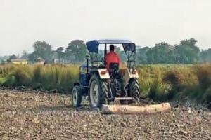 रायबरेली: डीएपी खाद की किल्लत से गेहूं की बुआई पिछड़ी