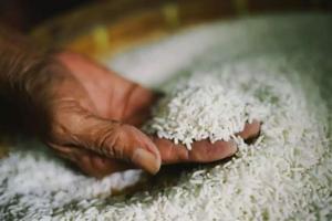 बरेली: 3.61 करोड़ का चावल हड़पा, राइस मिल सीज