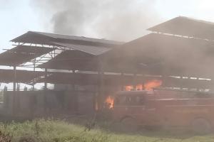 रामपुर : गणपति प्लाईवुड फैक्ट्री में भीषण आग से भारी नुकसान