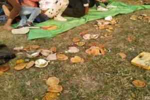 हरदोई: क्रीड़ा प्रतियोगिता में भाग लेने आए  बच्चों ने फेंका खराब खाना! भूखे रहे प्रतिभागी