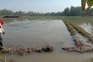 रायबरेली: माइनर कट जाने से 20 बीघा गेहूं की फसल जलमग्न, ग्रामीणों ने लगाया ये आरोप…