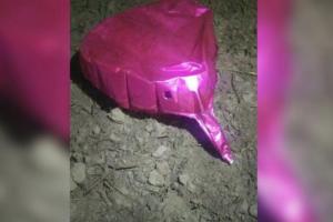 पंजाब: गुरदासपुर में सीमा के पास दिखा गुब्बारा, बीएसएफ ने फायरिंग कर गिराया