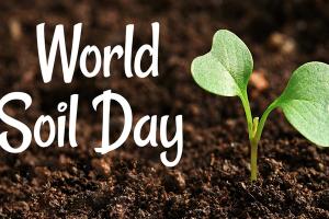 World Soil Day 2021: जानें विश्व मृदा दिवस का इतिहास, मिलकर बढ़ाएं मिट्टी की उत्पादकता