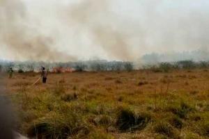 हरदोई: तेज हवा से जंगल में भड़की आग, बाल-बाल बचा लाखों का सोलर प्लांट…
