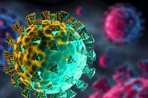 सावधान… कोरोना वायरस 14 दिन में बरपाएगा कहर! विशेषज्ञों ने दी चेतावनी