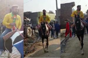रामपुर : मिलक-शाहबाद के कांग्रेस प्रत्याशी घोड़े पर सवार कर रहे प्रचार