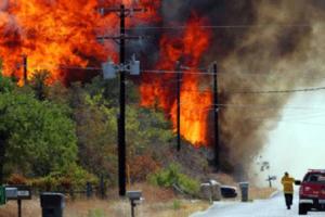 टेक्सास में जंगल की भीषण आग के कारण खाली कराया गए कई मकान, 10 प्रतिशत हिस्से खाक