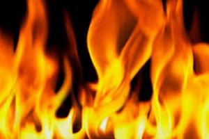 बिजनौर : पशुशाला में आग लगने से गोवंश की जलकर मौत