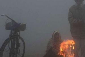 पंजाब, हरियाणा में कड़ाके की ठंड, बठिंडा में एक डिग्री सेल्सियस रहा तापमान
