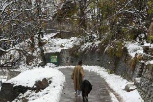 भारी हिमपात से कश्मीर में जनजीवन बाधित