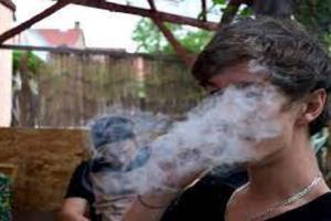 लखनऊ: नेपाल में गांजे की पैदावार, यूपी में बढ़ा रही नशे का बुखार, पढ़ें…
