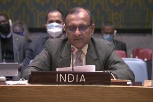 यूक्रेन-रूस संकट: UNSC बैठक में भारत ने रखा पक्ष, कहा- 20 हजार से अधिक भारतीयों की सुरक्षा हमारी प्राथमिकता