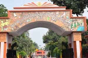 बरेली: रुविवि के शिक्षा विभाग के छात्रों ने नेट परीक्षा में लहराया परचम
