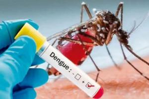 दिल्ली में इस साल डेंगू के अभी तक 52 मामले सामने आए