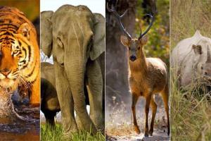 उत्तराखंड के इन सात वन्य जीव विहार की सैर आपको कर देगी रोमांचित