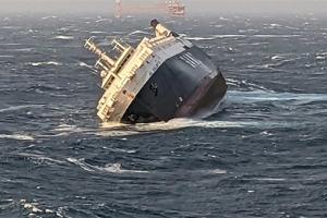 संयुक्त अरब अमीरात के ध्वज वाला मालवाहक जहाज पर्शिया की खाड़ी में डूबा