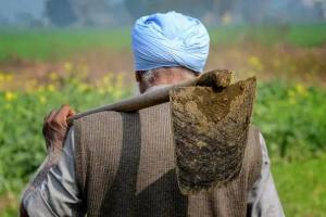 अयोध्या: 5 लाख के भुगतान के बाद भी नहीं मिली खाद, किसान परेशान