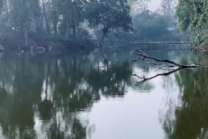 लखनऊ: बटलर पैलेस तालाब में मरीं मछलियां, नगर आयुक्त ने सफाई अभियान चलाने के दिए निर्देश