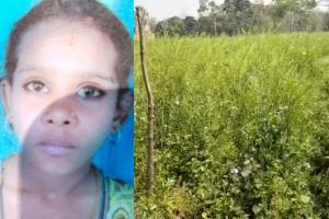 बहराइच: फसलों की सुरक्षा के लिए बाड़ में दौड़ाया करंट, चपेट में आकर बच्ची की हुई मौत