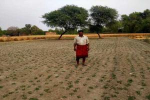 उन्नाव: डीजल के भाव ने बदला किसानों का मिजाज, मक्का से मुंह फेरकर दलहनी फसलों की तरफ किया रुख