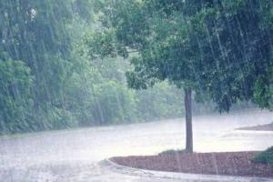पर्वतीय क्षेत्रों में हुई बारिश से नैनीताल जिले में तापमान गिरा