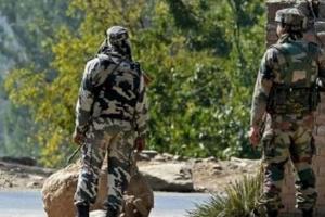 जम्मू-कश्मीर के त्राल में सुरक्षाबलों के साथ मुठभेड़ में दो आतंकवादी ढेर