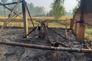 बरेली: पोल्ट्री फार्म में लगी आग से दो सौ चूजे जिंदा जले