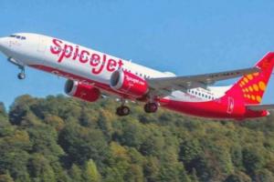 स्पाइसजेट के 90 पायलटों के 737 मैक्स विमान उड़ाने पर रोक