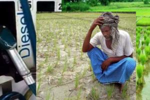 शाहजहांपुर: डीजल महंगा, महंगी खाद-सिंचाई…खेती पर भी महंगाई आई