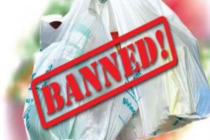 बरेली: प्लास्टिक पर प्रतिबंध लगाने को प्रदूषण नियंत्रण बोर्ड ने शुरू की तैयारी