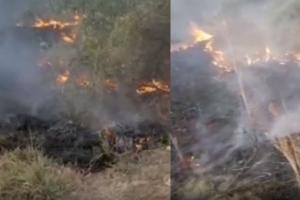 आगरा: अज्ञात कारणों से जंगल में लगी आग, पुलिस और वन कर्मियों ने ग्रामीणों के सहयोग से आग पर पाया काबू