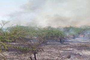 रायबरेली में आग की घटनाओं पर नहीं लग रहा विराम, तीन बीघे फसल व जंगल जलकर हुए राख!